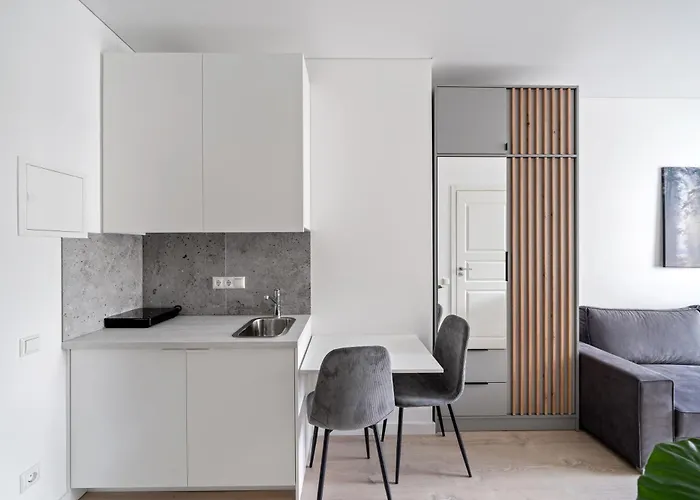 Appartement Cozy 1bedroom With Sofa Bed - Sleeps 4 Vilnius