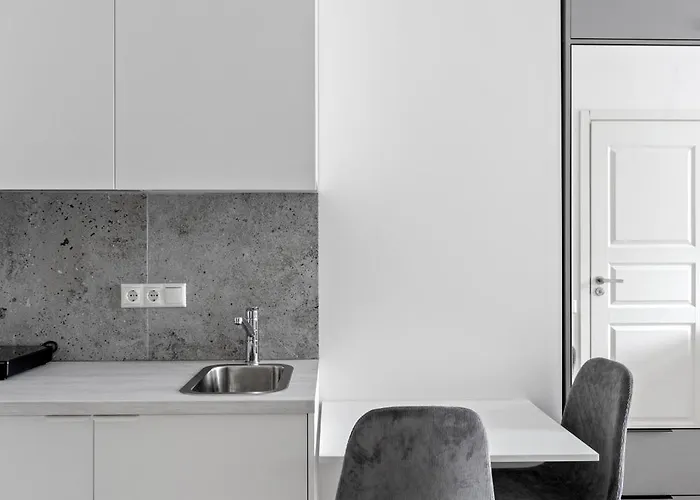 Cozy 1bedroom With Sofa Bed - Sleeps 4 公寓 维尔纽斯